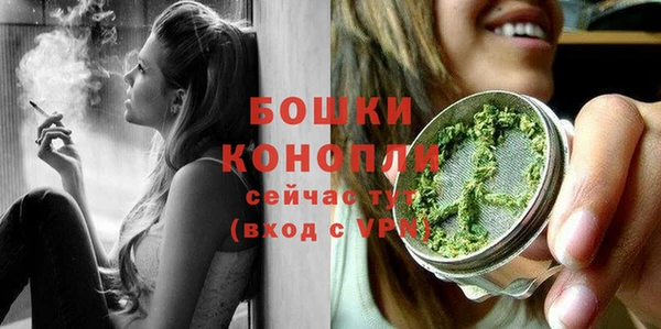 ПСИЛОЦИБИНОВЫЕ ГРИБЫ Горняк