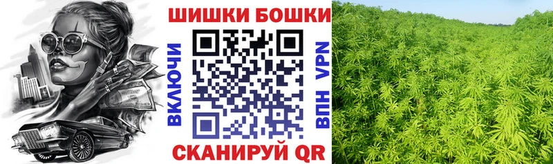 МЕГА зеркало  Балашов  Шишки марихуана план 